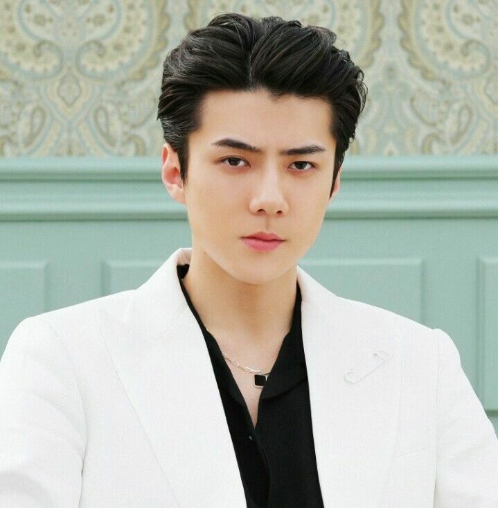 Sehun: Wiki, Career, Awards, 7 Fun Facts & More - KDrama Live